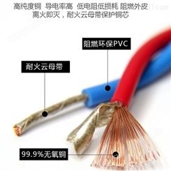 耐高温氟塑料控制电缆 ZR-KVVP22 41.5 现货批发 定制 天长