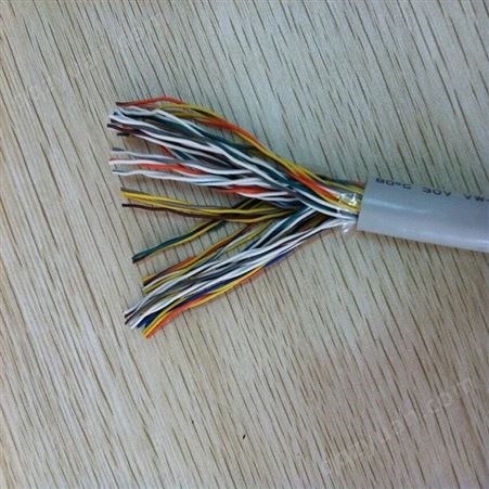 DJYPV 31.5 电子计算机用对绞屏蔽电缆 鑫森电缆 厂家现货