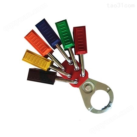 铂铒盾PATRON 安全挂锁上锁挂牌锁具11218白色不同花钥匙塑料锁体