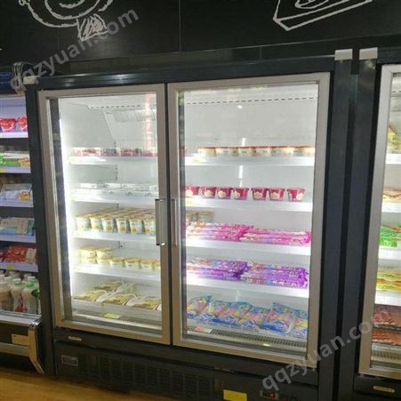 新款风幕柜保鲜柜水果蔬菜展示柜超市立式牛奶饮料冷藏雪迎保鲜立式冰柜