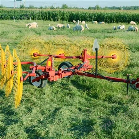 多盘牵引式搂草机 养殖牧草搂草机 生产厂家