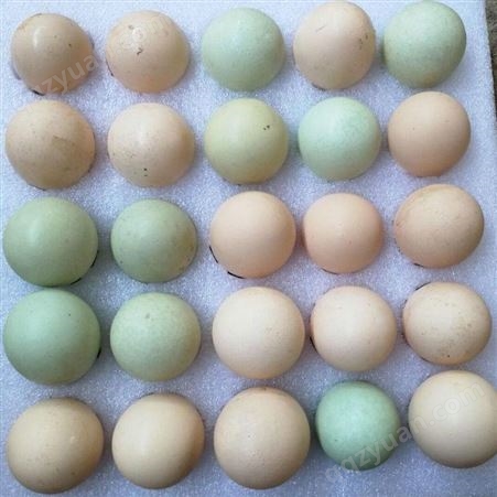 农场直发散养白壳绿壳土鸡蛋30枚/盒 可蒸煮煎炒 口感清香