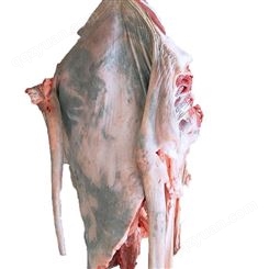新鲜驴肉出售 茂隆冷冻驴肉价位