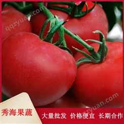 酸甜可口西红柿 适合生吃 自然熟更好吃 包邮