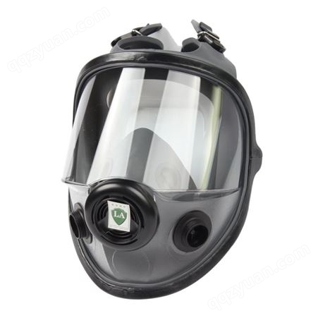 霍尼韦尔防毒面具 大视窗橡胶防尘防毒全面罩 逃生防毒面具54001