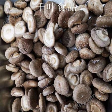 鲜香菇 香菇供应商 食用香菇
