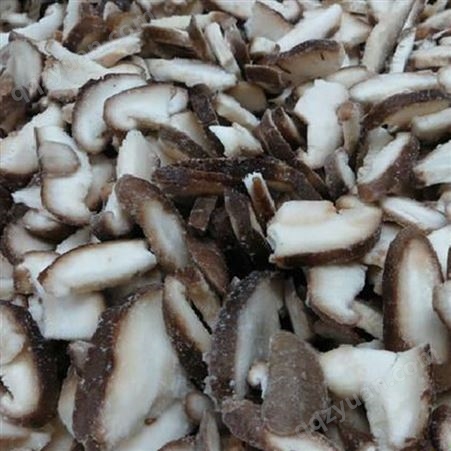 香菇加工 速冻香菇厂家批发 冷冻香菇片唐山厂家供应