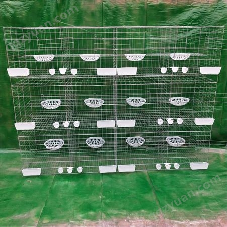三层12位鸽子笼 立式加粗框架鸽笼 1.35高广式鸽笼