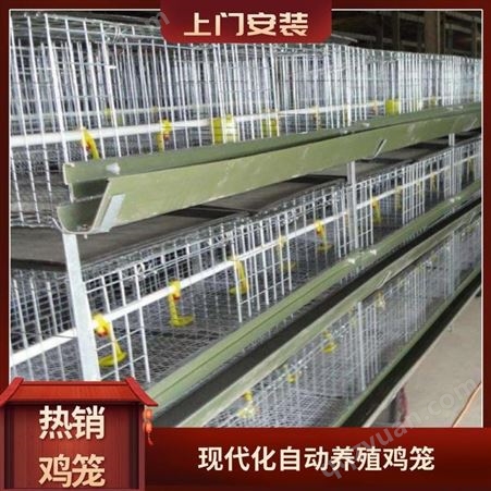 养殖鸡笼厂出售各种 成年鸡笼 肉鸡笼 肉鸡笼现货  包安装鸡笼