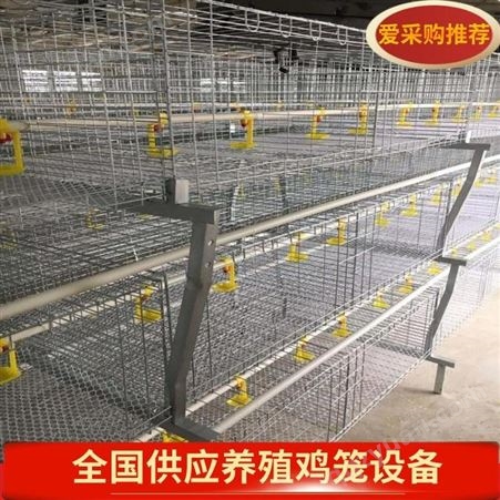 河北鸡笼厂设备层叠式肉鸡笼，自动清粪机机头设备鸡笼子