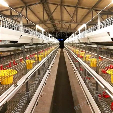 安装肉食鸡笼重叠式肉鸡笼育雏鸡笼自动出粪肉鸡笼肉鸡笼厂家
