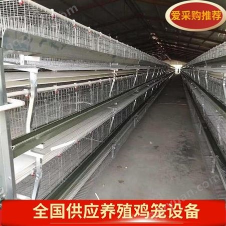 厂家直发层叠式蛋鸡笼大层叠式种鸡笼质量保证