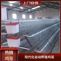 全自动养鸡、养鸭的笼具自动清粪设备大规模养殖厂家供应