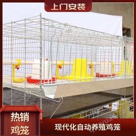 养殖鸡笼厂出售各种 成年鸡笼 肉鸡笼 肉鸡笼现货  包安装鸡笼