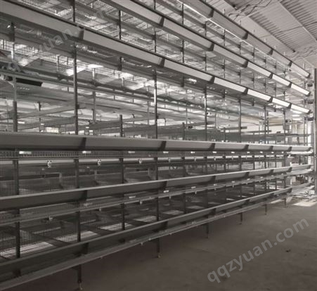 肉鸡养殖笼厂家供应养鸡设备鸡笼可定制养鸡笼子框架式鸡笼镀锌