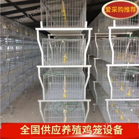 河北鸡笼厂设备层叠式肉鸡笼，自动清粪机机头设备鸡笼子