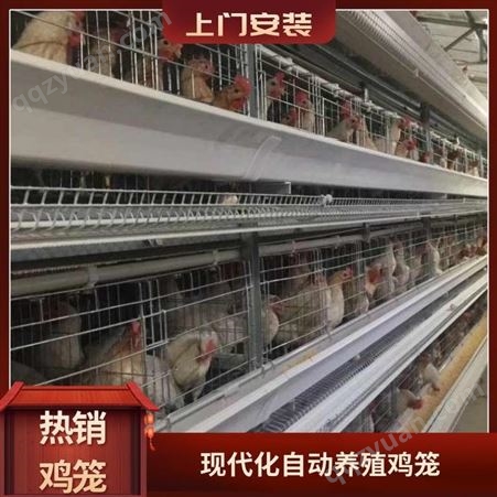 全自动养鸡、养鸭的笼具自动清粪设备大规模养殖厂家供应