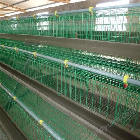 三层阶梯式层叠蛋鸡笼子 镀锌鸡笼 喷塑养鸡设备