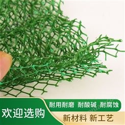 三维植被网 定制EM2EM3三维植被网边坡保护绿化植草三维土工网垫