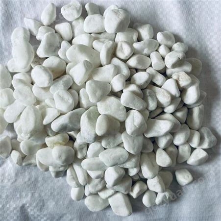 鹅卵石 白色卵石 庭院铺路铺地用小石子 东霞生产 全国供应