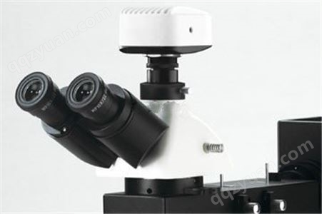 MIT300正置金相显微镜 实验室显微镜 两档转换式观察筒 超大视野目镜