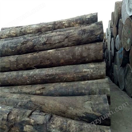 超长香樟原木 天然烘干木板材 防虫防蛀规格 木料户外古建防腐木